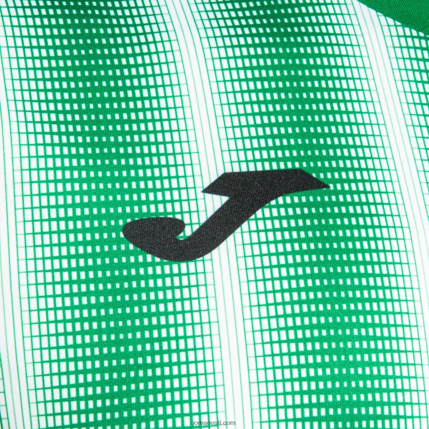 mehed särk lühikeste varrukatega inter ii DJNBH1243 roheline valge Joma