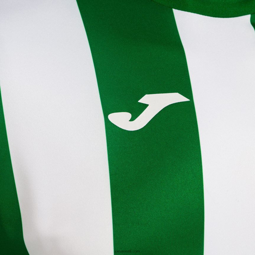 mehed klassikaline pikkade varrukatega särk DJNBH1172 roheline valge Joma